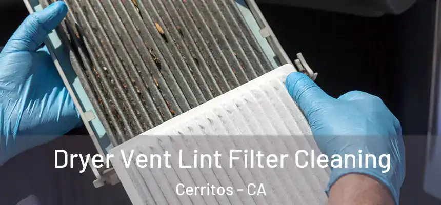 Dryer Vent Lint Filter Cleaning Cerritos - CA