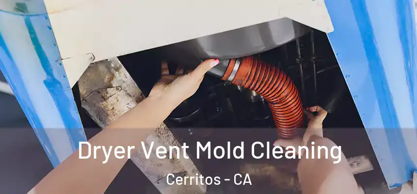 Dryer Vent Mold Cleaning Cerritos - CA
