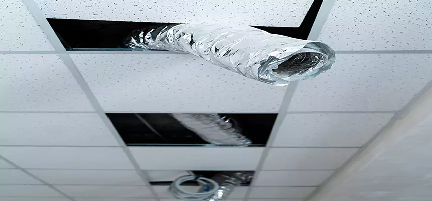 Our Air Duct Pet Hair Removal Services in Cerritos, CA