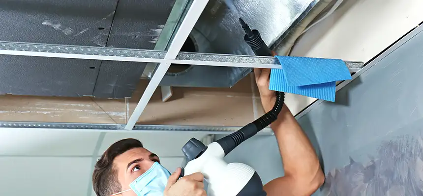 Our Air Duct Rodent Removal Services in Cerritos, CA