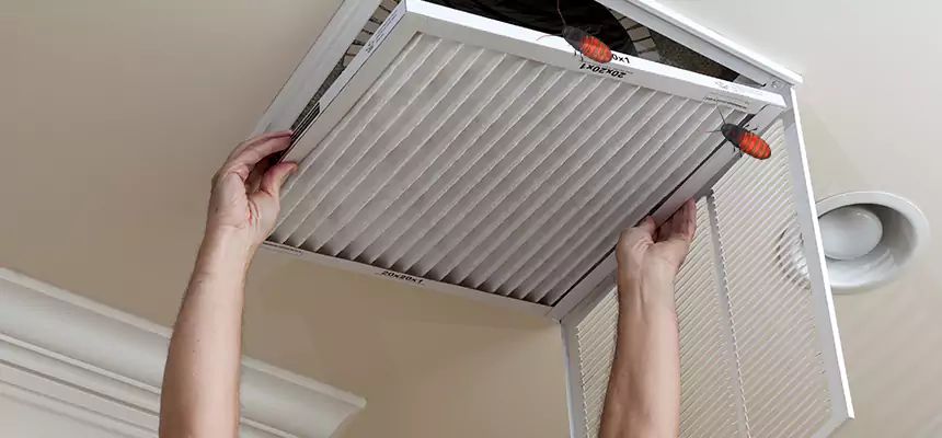 Our Insect Removal from Air Ducts Services in Cerritos, CA