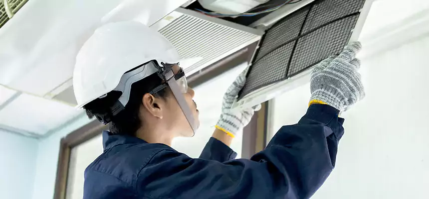 Our Mold & Mildew Removal from Air Ducts Services in Cerritos, CA