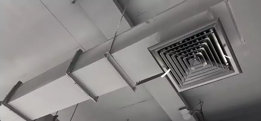 Our Rodent Droppings In Vents Services in Cerritos, CA