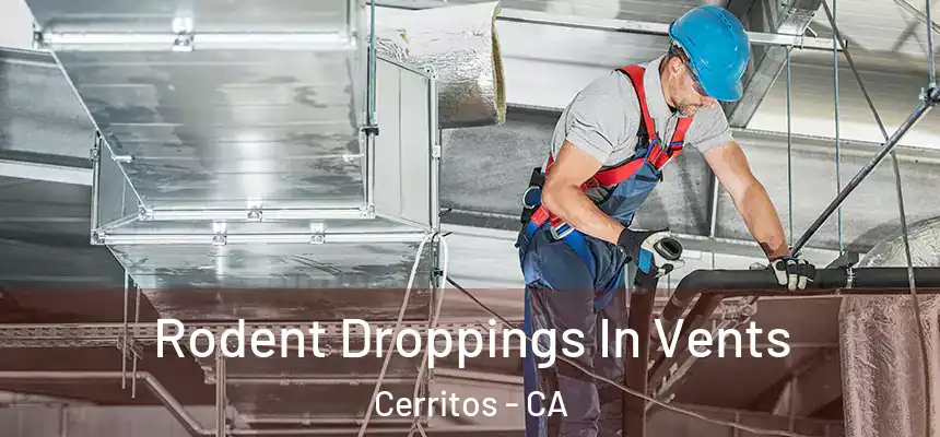  Rodent Droppings In Vents Cerritos - CA