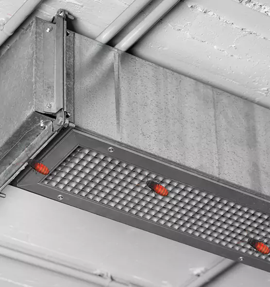 About Air Duct Cockroach Removal in Cerritos, CA
