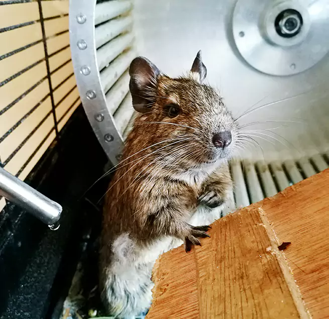 Why Homeowners & Businesses Trust Us Cerritos, CA