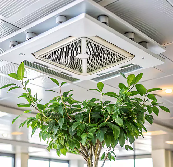 Why Homeowners & Businesses Trust Us in Cerritos, CA?