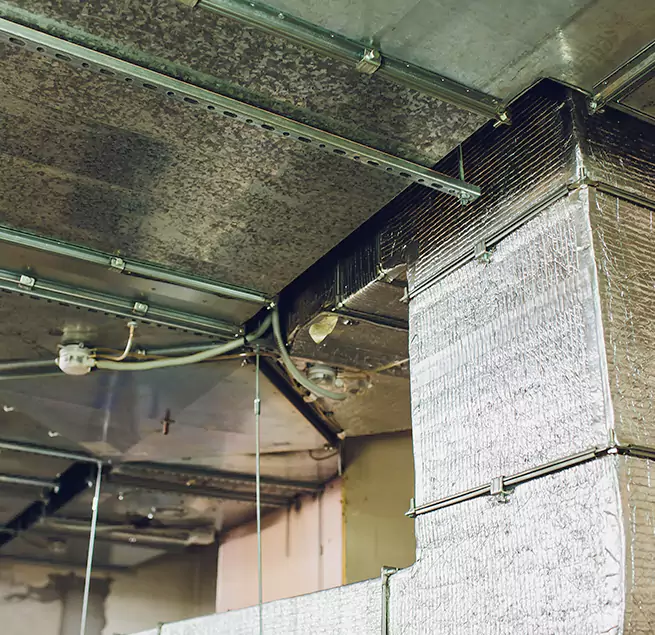 Why Homeowners & Businesses Trust Us in Cerritos, CA?